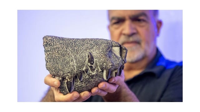 El científico Fernando Novas y su equipo describió la nueva especie Kostensuchus atrox. 