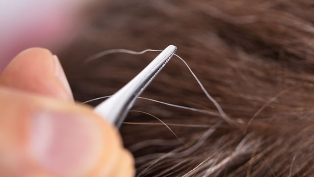 Un ingrediente común puede transformar la apariencia de tu cabello con canas.


