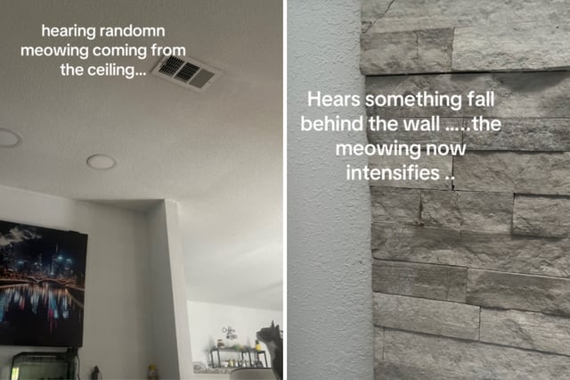 Screenshots from an August 16 TikTok video of a woman discovering kittens after hearing meows coming from inside the ceiling.