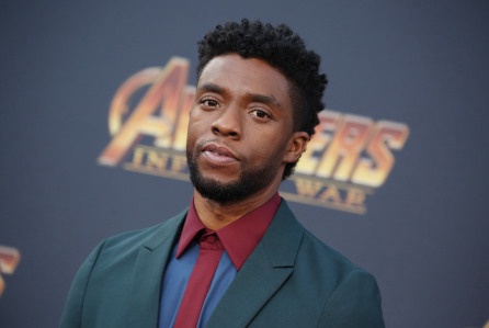 Chadwick Boseman's Wife Files Probate to Control Actor's $1M Estate
