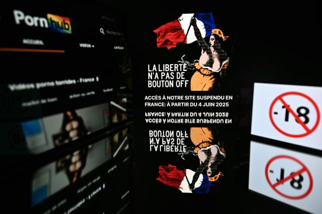 Certaines entreprises, comme le géant du secteur Aylo, maison mère des plateformes Youporn, Pornhub et Redtube, refusent de mettre en place des mesures pour vérifier l'âge des utilisateurs, évoquant notamment la question de la sécurité des internautes