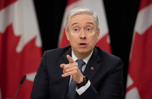 Innovation, Science and Industry Minister Francois-Philippe Champagne speaks during a news conference on tariffs, Wednesday, March 12, 2025 in Ottawa. THE CANADIAN PRESS/Adrian Wyld
