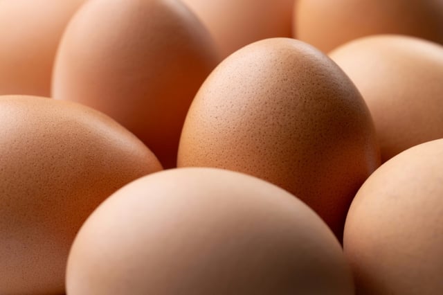 L'interprofession des oeufs a dénoncé l'importation par certains distributeurs de centaines de milliers d'oeufs d'Ukraine ne "respectant pas les normes de production européennes et pouvant contenir" des antibiotiques interdits