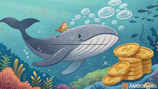 Hyperliquid Whale Scoop Up $3.9mln Worth of Tokens: Any Impact on Hype?