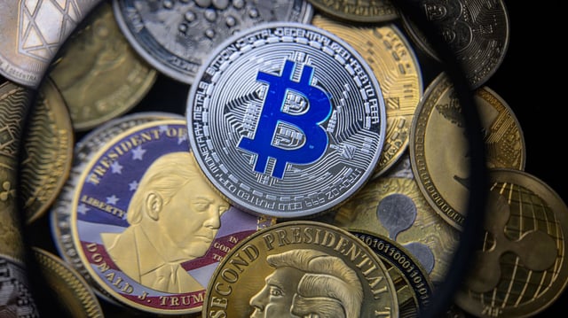 A Donald Trump coin is pictured alongside Bitcoin and various other cryptocurrencies in this photo illustration in Brussels, Belgium, on August 5, 2025. (Photo by Jonathan Raa/NurPhoto via Getty Images)