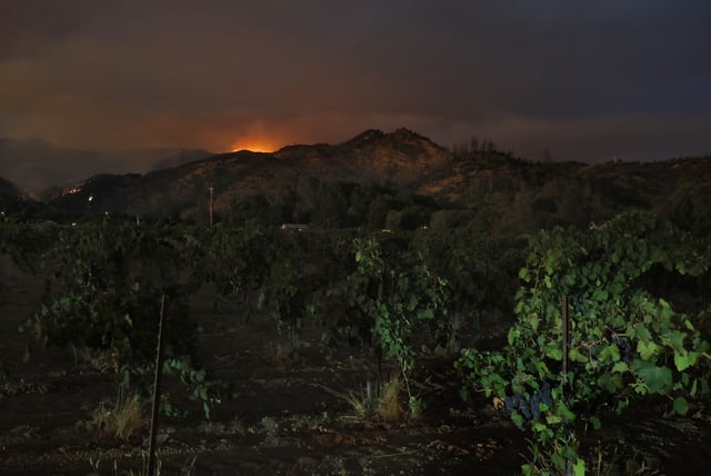 The Pickett Fire burns in the hills near a vineyard on August 21, 2025 in Calistoga, California.