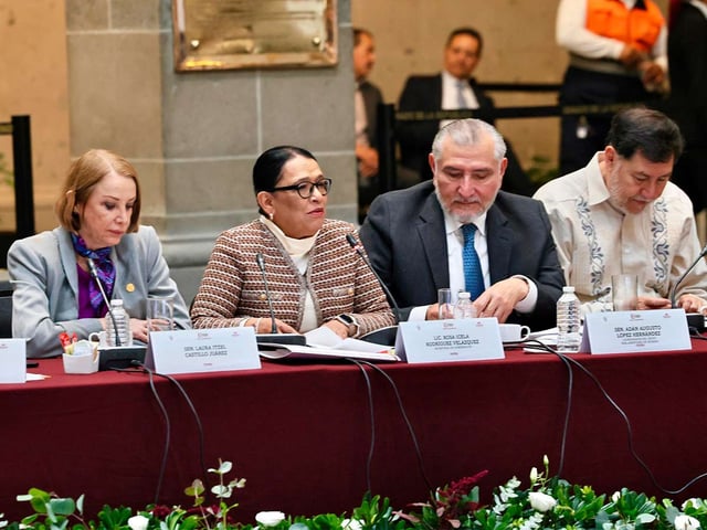 Rosa Icela en la Plenaria de Morena.