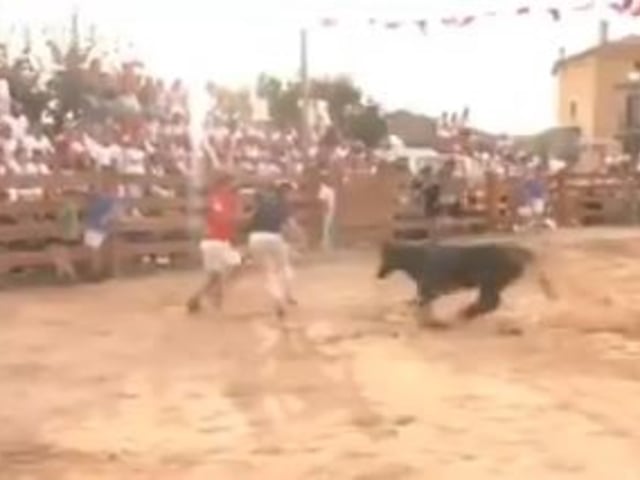 Un reportero fue embestido en vivo por una vaquilla. Foto Captura