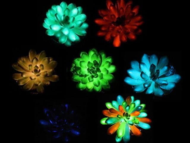 Plantas luminiscentes multicolores y ultrabrillantes construidas con micropartículas