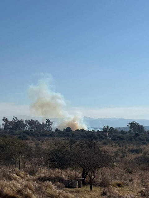 Incendio en la zona de Los Reartes, trabajan más de 40 dotaciones de bomberos. (Gentileza)