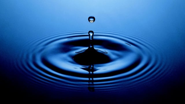 Crypto controversy: crypto sleuth zachxbt’s xrp accusations prompt claims of personal grudge against ripple