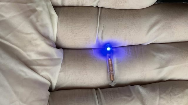 Ingestible Controlled Optogenetic Stimulation (ICOPS) in its on condition. (Credit: Mohamed Elsherif / NYU)
