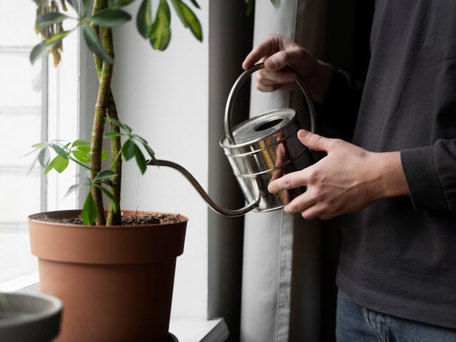 Mejora la estructura del suelo y contribuye a un crecimiento más saludable de las plantas. Foto: Freepik.