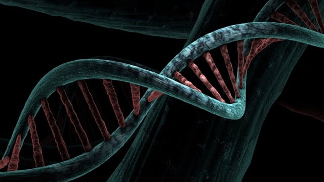 For life forms on earth, the DNA double-helix is right-handed. Image for representation.