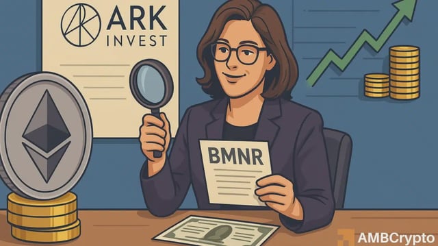 Ark Invest bought 339,113 BMNR shares