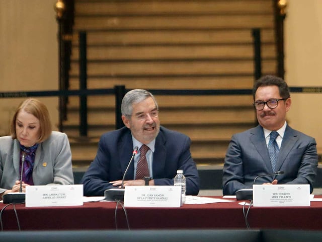Juan Ramón de la Fuente, en medio.