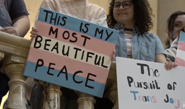 trans flag sign