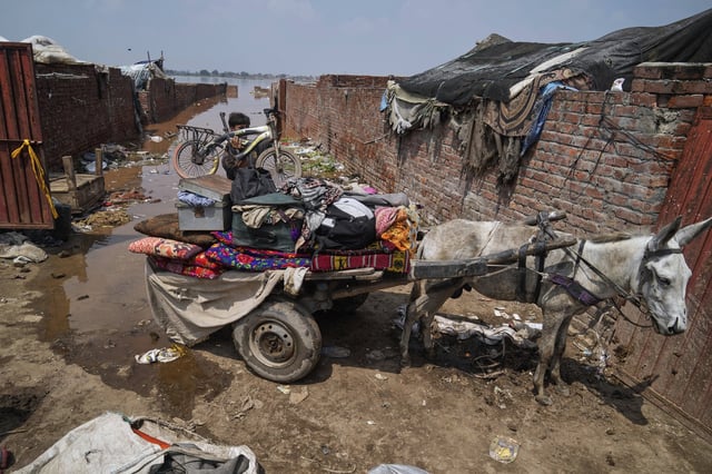 A resident loads his belongings into a donkey-cart after retrieving them from his flooded home due to rising water level in Ravi River after torrential rains at a low-lying area on the outskirts of Lahore, Pakistan, Aug. 28, 2025. (AP Photo/K.M. Chaudary)