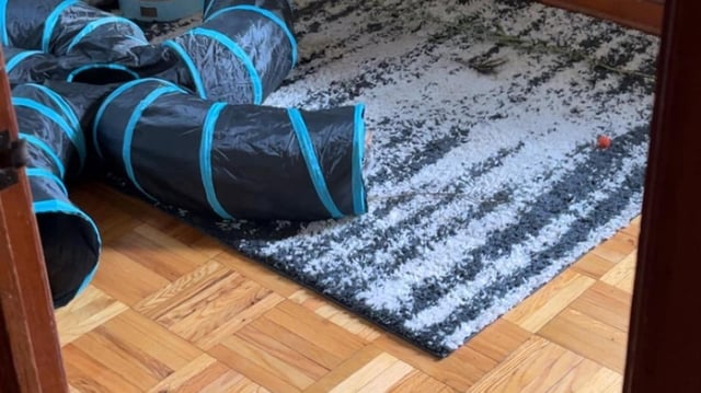An optical illusion shared on Reddit puzzled viewers.