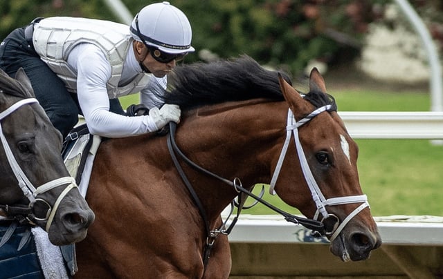 Journalism and jockey Umberto Rispoli complete a 4-furlong workout in 48 seconds, in company with one of the 3-year-old’s stablemates Aug. 16, 2025, at at Del Mar. (Benoit photo)