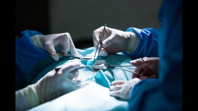 The case involves Bapu Komkar, 48, who underwent a liver transplant on August 15 with his wife Kamini Komkar, 41, as the live donor. Bapu’s health deteriorated soon after surgery, and he died the same day. Kamini later developed complications and died during treatment on August 22. (REPRESENTATIVE PHOTO)
