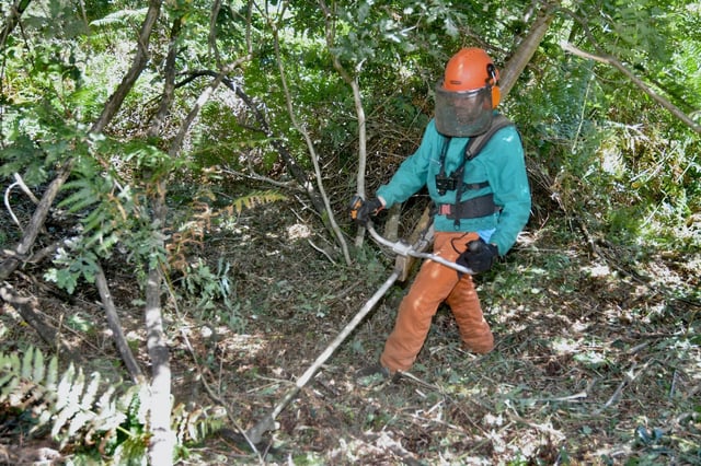 Un brigadista realiza tareas de desbroce.
