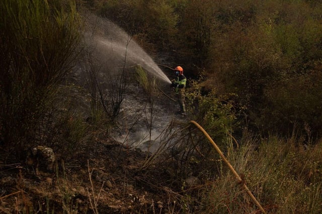 Un bombero trabaja en las tareas para la extinción del incendio, a 24 de agosto de 2025, en Molinaseca, León, Castilla y León (España). El avance de los incendios forestales de Índice de Gravedad Potencial (IGR) 2 que se han declarado este domingo, 24 de agosto, en las localidades de Garaño y Molinaseca, en la provincia de León, han obligado a las autoridades a desalojar cinco pueblos cercanos. En concreto, los municipios evacuados por el fuego de Garaño son Viñayo, Piedrasecha, Portilla de Luna y Sagüera de Luna. Por su parte, el incendio forestal de Molinaseca ha obligado a evacuar la localidad cercana del mismo nombre. 24 AGOSTO 2025 Alejandro Martínez Vélez / Europa Press 24/08/2025. Alejandro Martínez Vélez; / Alejandro Martínez Vélez / Europa Press