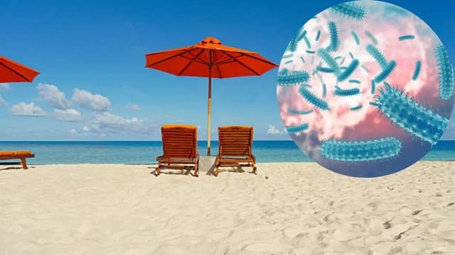Fecal Contamination Found at Beaches Along US Coastline