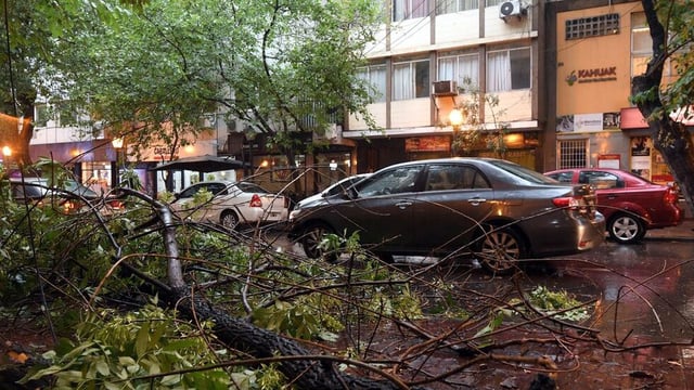 Árboles y postes caídos fue el saldo de la violenta tormenta de ayer