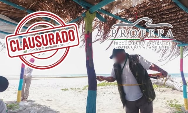 Palapas ilegales, fosas sépticas y clausuras: Profepa interviene zona costera en Veracruz por daño ambiental. / PROFEPA. - Imagen ilustrativa hecha con IA (Chatgpt).