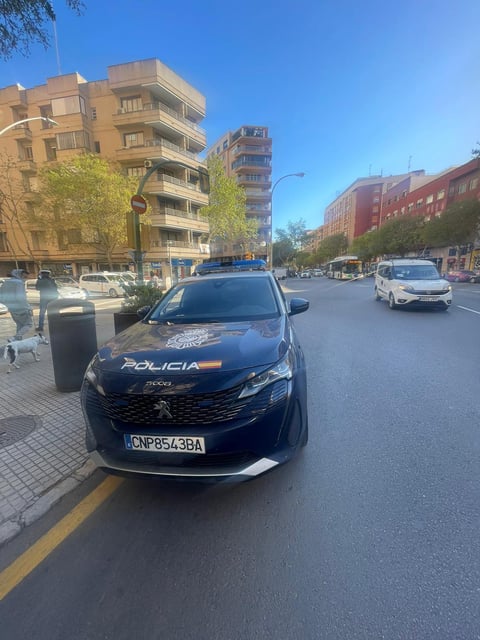 Imagen de archivo de un coche de la Policía Local en Palma.