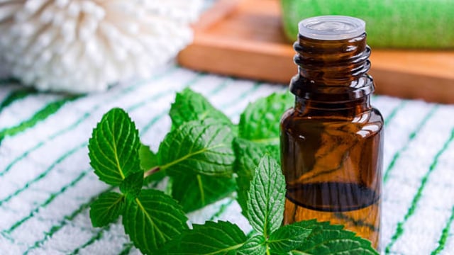 MENTHA OIL