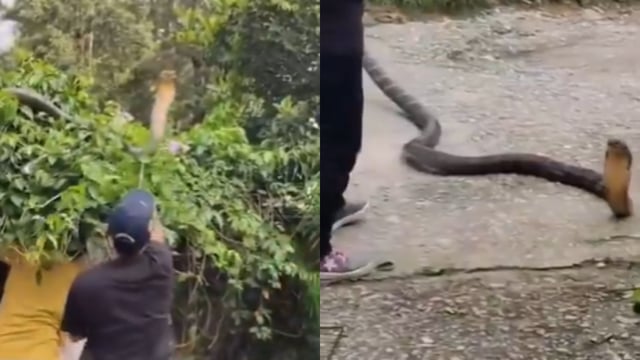 Dehradun video goes viral. Image Source: ‘AjitSinghRathi’/ X