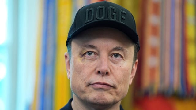 Elon Musk unterstützt die AfD und warnt vor dem Ende Deutschlands.