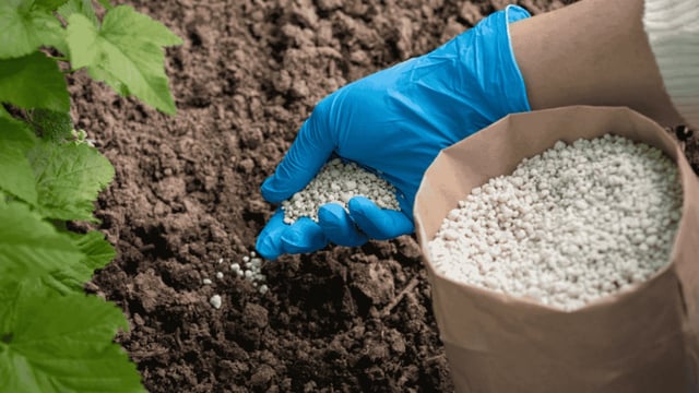 FERTILIZER