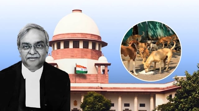 Supreme Court Judge Vikram Nath on Heading Stray Dogs Case | Image: Republic 