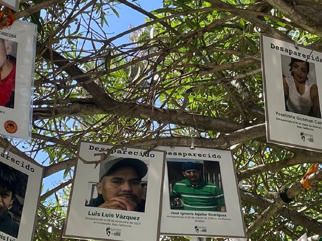 A pesar de que pasan, meses o años y no tienen resultados, los integrantes de los colectivos no se han quedado cruzados de brazos. Foto: Cortesía
