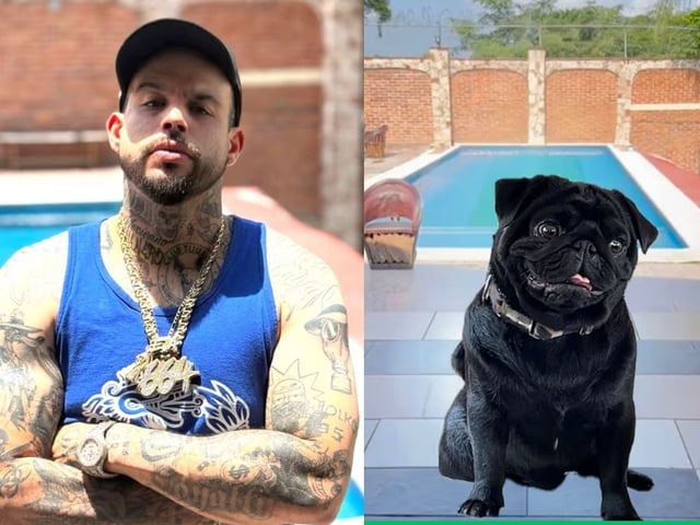 Pepe Aguilar y su perro protagonizan la respuesta más inesperada tras burlas a Emiliano