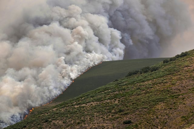 Spain was badly hit by a succession of heatwaves and drought this summer, fuelling a wave of wildfires