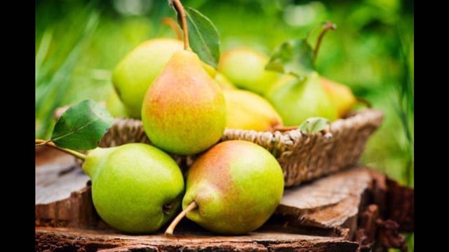 The partial reopening of the Srinagar–Jammu National Highway on Monday has rekindled hopes among fruit growers, but concerns remain over hundreds of apple and pear-laden trucks stranded for more than a week. (Shutterstock/ Representational image)