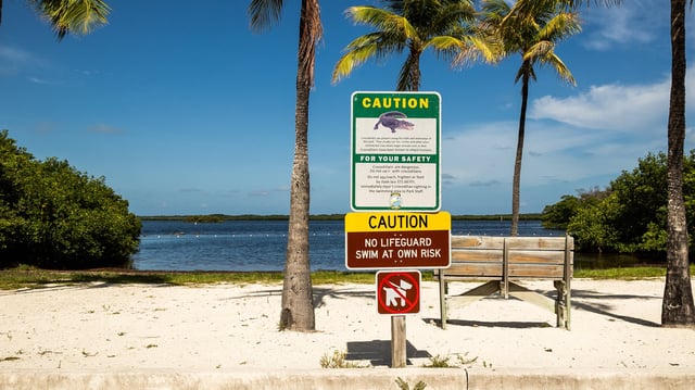 Beach with palm trees, coconut trees, and white sand in the park, and warning signs about the presence of crocodiles in the ocean at John Pennekamp Reef Coral Park in Key Largo on the Keys highway in the state of Florida in the United States of America (USA) on July 30, 2025. (Photo by Jc Milhet / Hans Lucas via AFP) (Photo by JC MILHET/Hans Lucas/AFP via Getty Images)