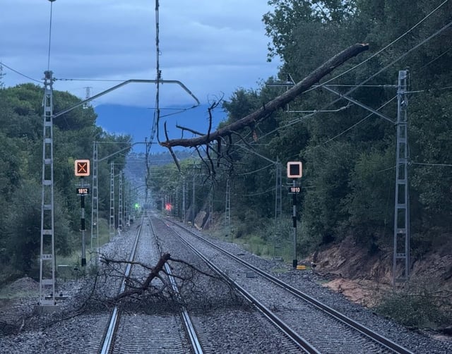 Un árbol ha caído sobre la catenaria y las vías a primero hora de la mañana.