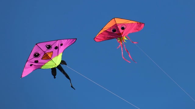 Kite raises $18m to bridge stablecoin payments and autonomous agents