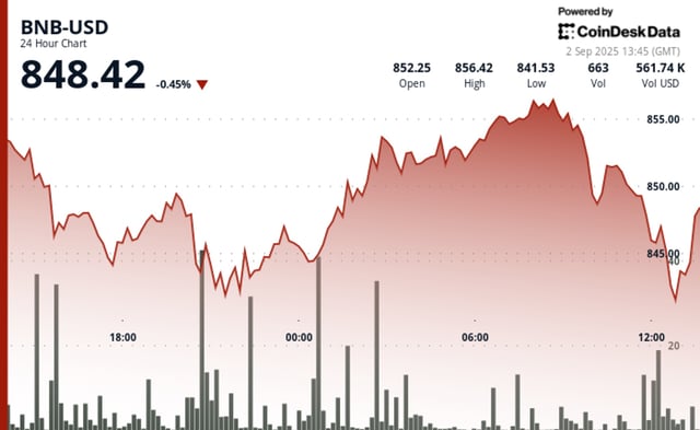 Bnb hovers near $850 after brief rally above $855 as sellers return