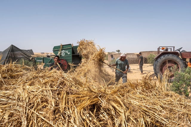 Según Jorge López Menéndez, “actualmente solo el 10% de 400 millones de hectáreas disponibles se aprovechan para producir alimentos, mientras millones de personas viven en pobreza extrema"