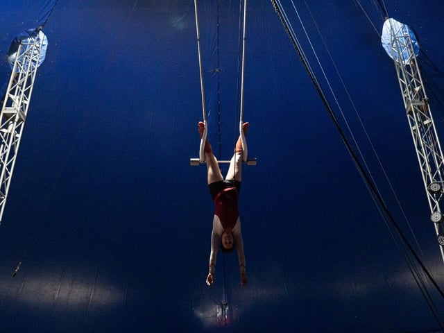  Disa Carneol has been a professional aerialist for 19 years, specializing in swinging trapeze for the past seven.