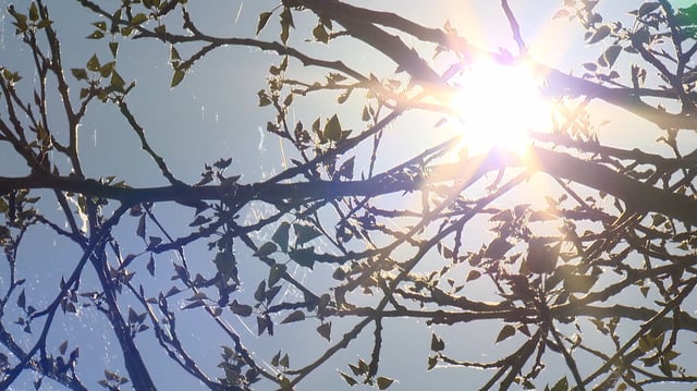 An early season hot spell set a number of new temperature records in B.C. and Alberta over the past few days, including Lytton, B.C. where the mercury hit 39.3 C on Sunday, making it the hottest spot in the country, breaking a record set two years ago.