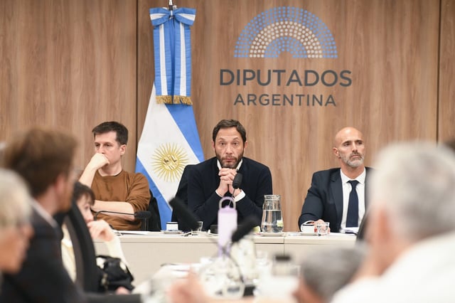 La comisión investigadora $LIBRA aprobó un reglamento y las primeras medidas de prueba (Foto: HCDN)