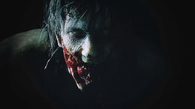 Image: Capcom