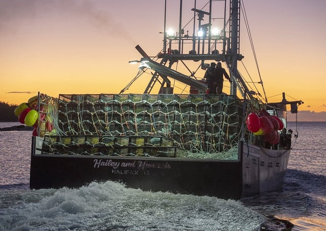 A fishing boat, loaded with traps, heads out from West Dover, N.S., on Tuesday, Nov. 26, 2019. THE CANADIAN PRESS/Andrew Vaughan